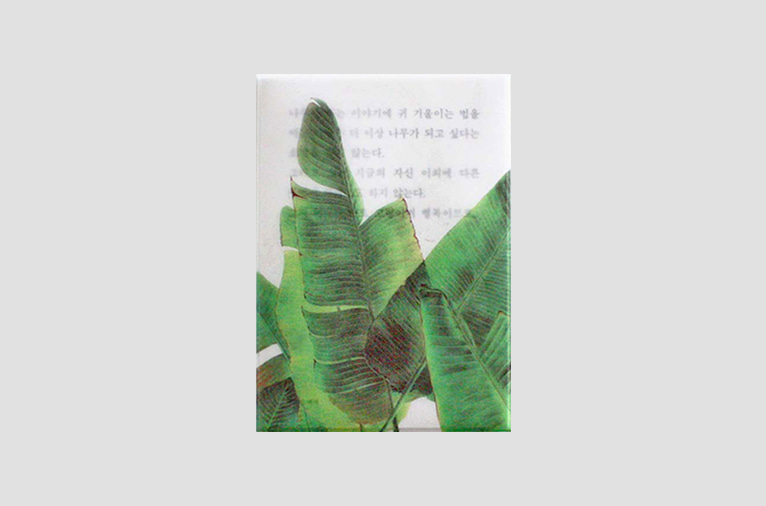 4차입고*[소언] Plant post card - banana leaf