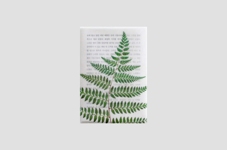 재입고*[소언] Plant post card - fern