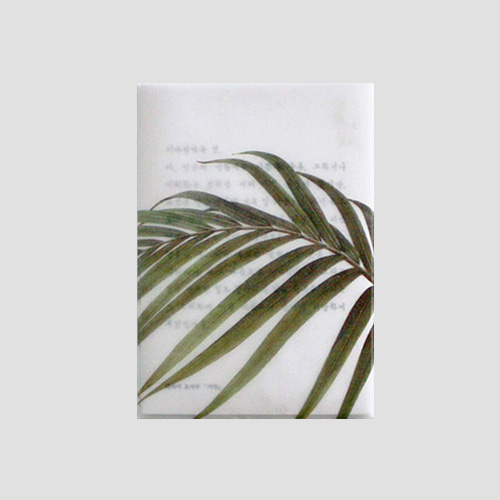 4차입고*[소언] Plant post card - palm