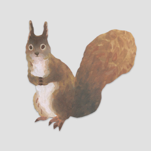 [후긴앤무닌] 톰슨카드_squirrel